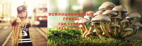 марки lsd Алексеевка