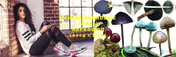 spice Абинск