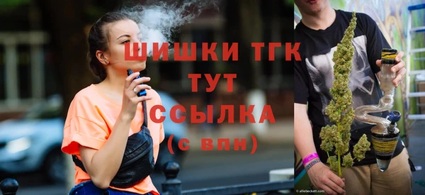 дмт Алексин